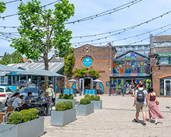 Knockhatch Adventure Park