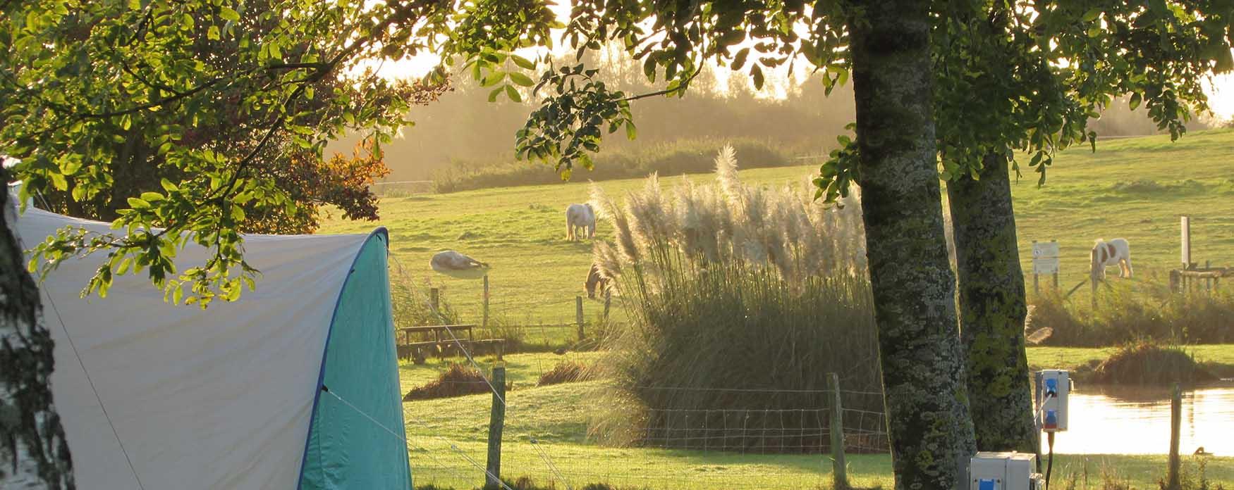 Camping in Eastbourne and Sussex